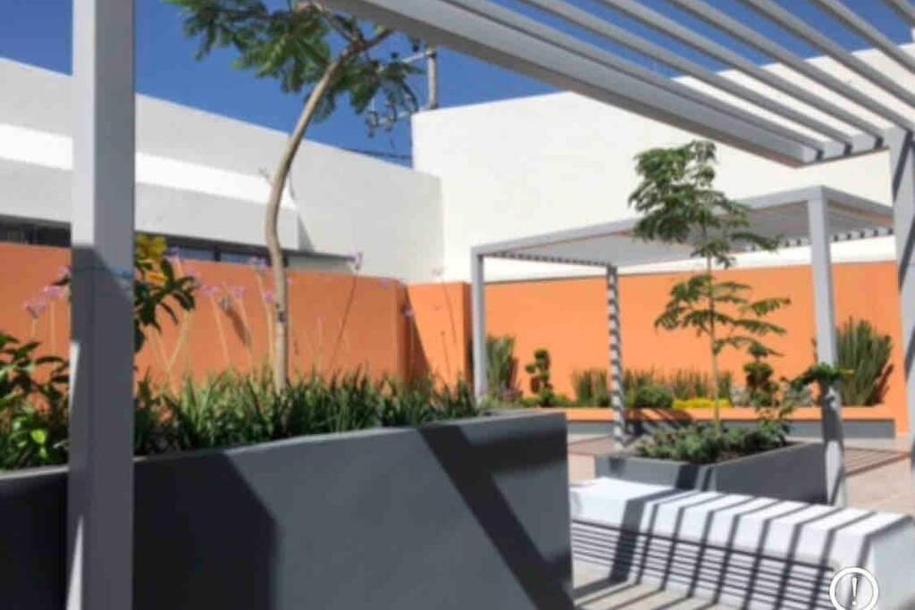 Departamento *Mundo Viajero* Guadalajara Daire Dış mekan fotoğraf
